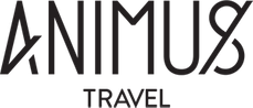Animus Travel Abireisen - Fetteste Partys, geilste Locations